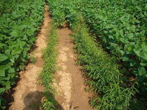 貴州土壤污染修復團隊 專業防治，守護土壤健康