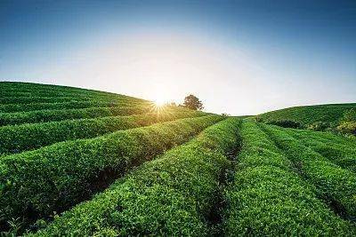 國際視野下的英國土壤污染防治 技術(shù)體系與服務(wù)模式概述