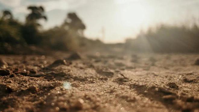 挪亞土壤重金屬污染檢測服務(wù) 以精準(zhǔn)數(shù)據(jù)助力環(huán)境治理，凝聚土壤生命力