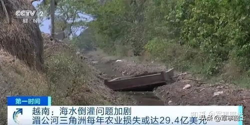 德崇扶南運(yùn)河開建 地緣經(jīng)濟(jì)新動脈與土壤環(huán)境保護(hù)的雙重考量