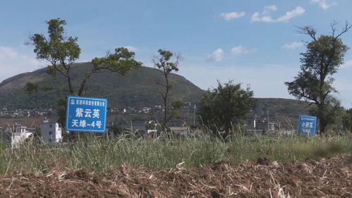 省生態環境廳深入個舊市調研 力促土壤污染防治與農村污水治理工作再上新臺階